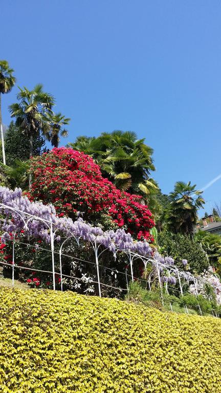 Appartamenti Orta Orta San Giulio Δωμάτιο φωτογραφία